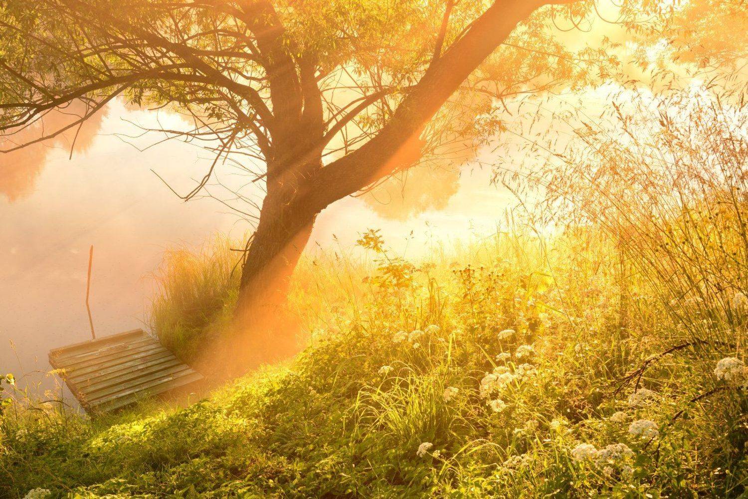 Утро в Рязанцах. Автор: Максим Евдокимов ( www.wildphotorus.ru ) , Максим Евдокимов ( www.wildphotorus.ru )