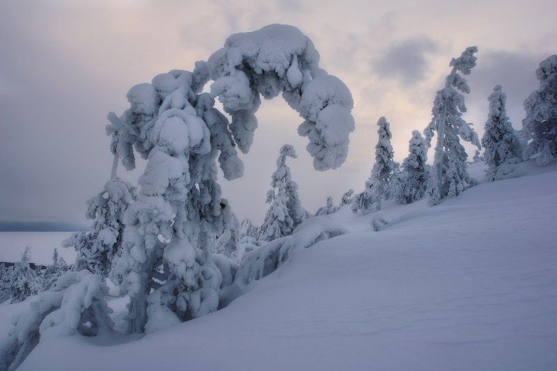 Заполярье, Кандалакша, Кольский полуостров Шествие призраковphoto preview