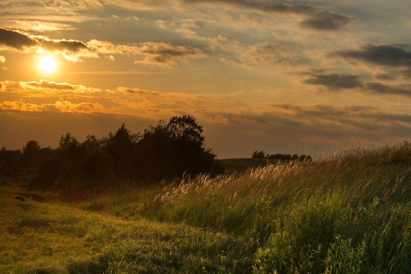 пейзаж, закат, солнце, поле, россия, золото Вечер, Тверская областьphoto preview