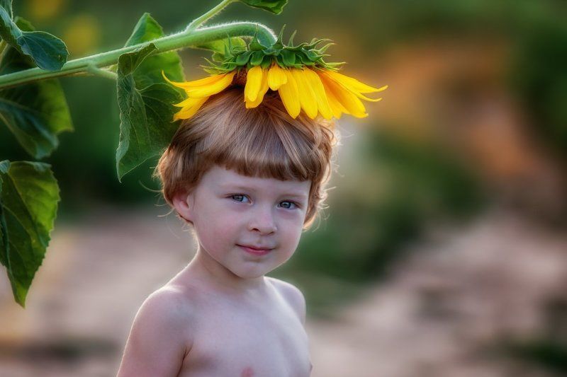 В подсолнухахphoto preview