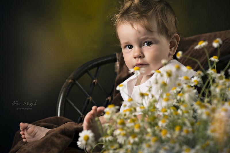 дети, портрет, фото, фотопортрет, студия, студийный, Полтава, фотограф, свет, ромашки Сонечкаphoto preview