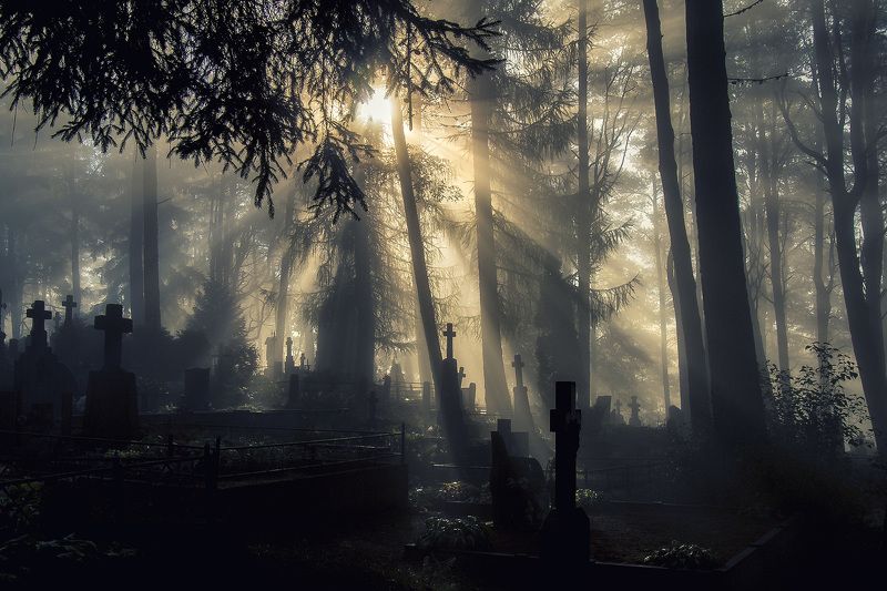 O Cветеphoto preview