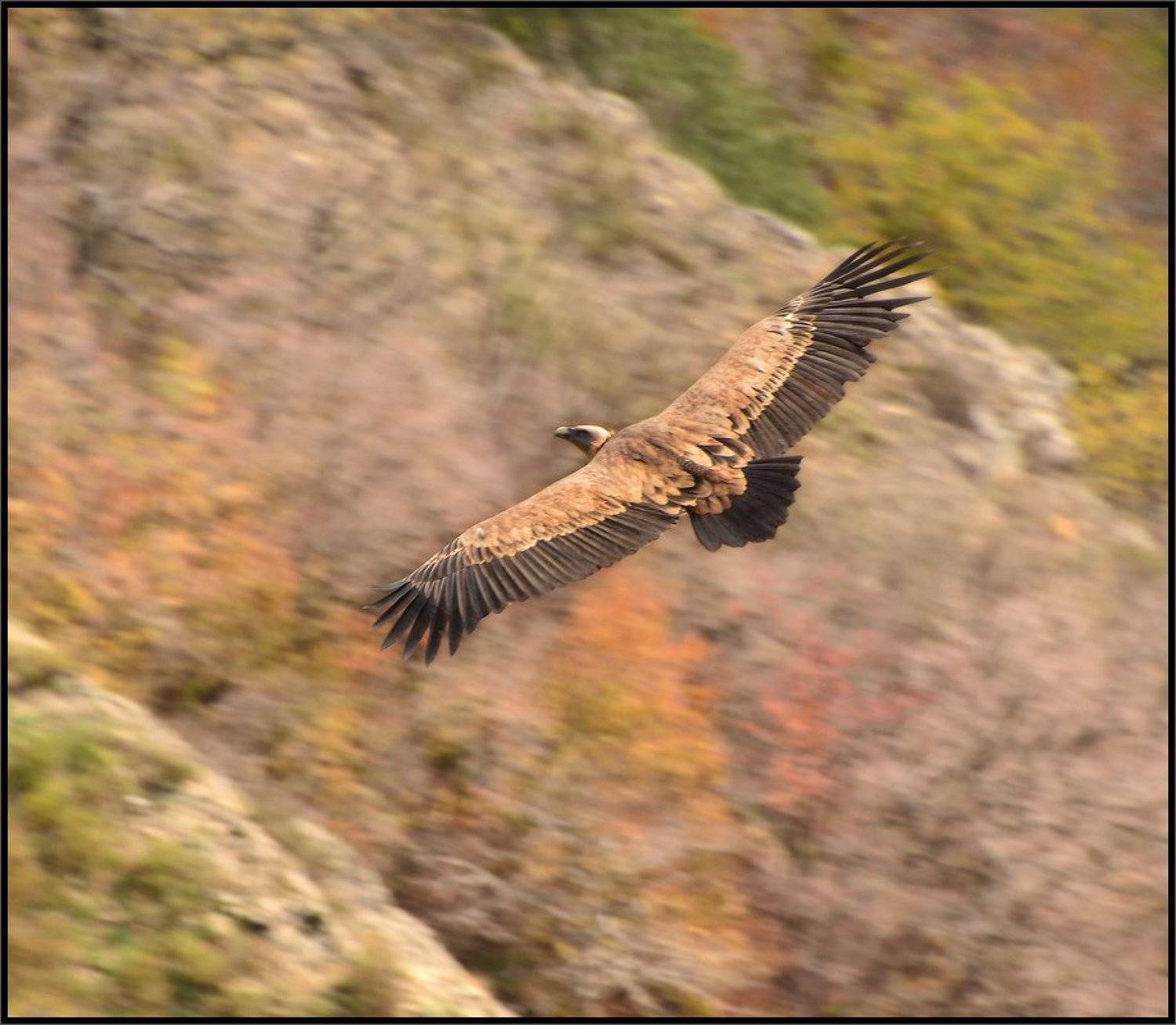 Автор: Владимир Метцгер , Владимир Метцгер