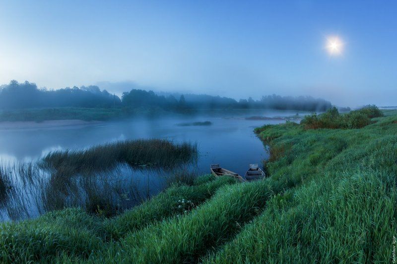 берег, лодки, луна, ночной пейзаж, ночь, пейзаж, полнолуние, река, россия, русский пейзаж, сумерки, трава, туман, угра, утро Утренние сумерки на Угре фото превью