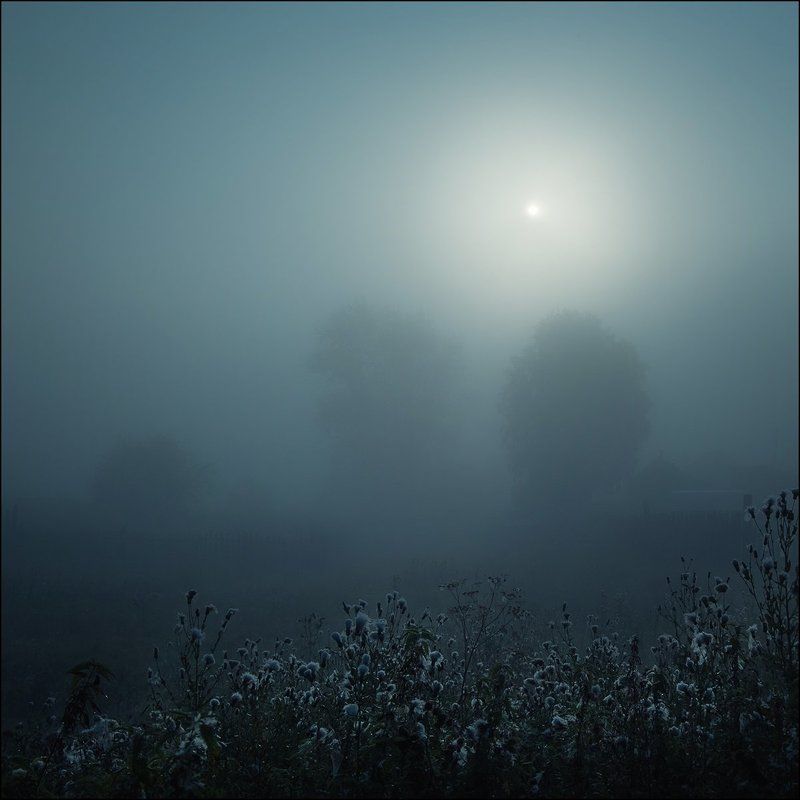 Туман, Утро Тихое утроphoto preview