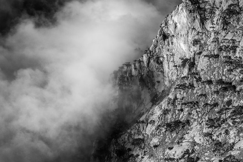 Всё поглощающий туманphoto preview