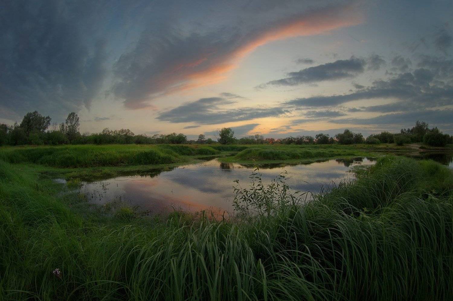 После дождя. Автор: Сергей Шляга , Сергей Шляга
