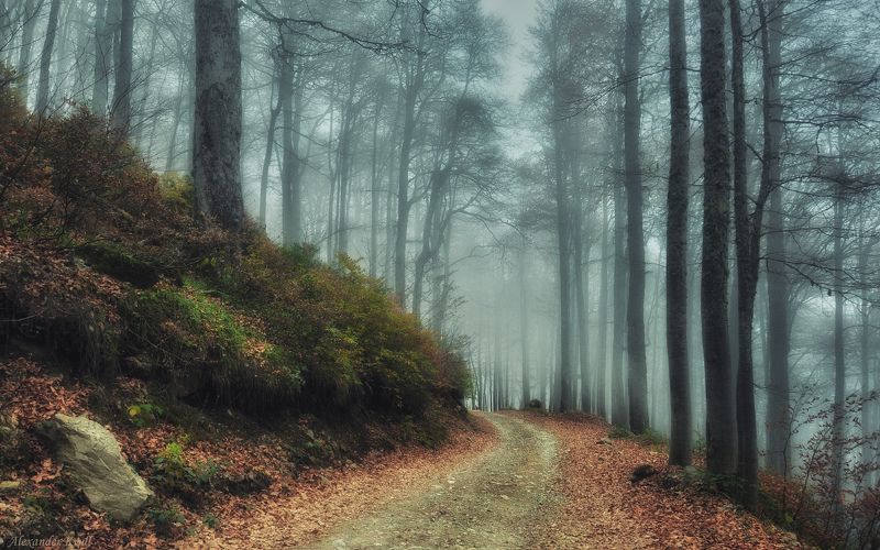 Кавказ, Красная Поляна Пути-дорожки горные...photo preview