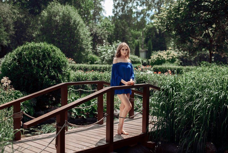 розарий,сад,цветы,мост розарийphoto preview