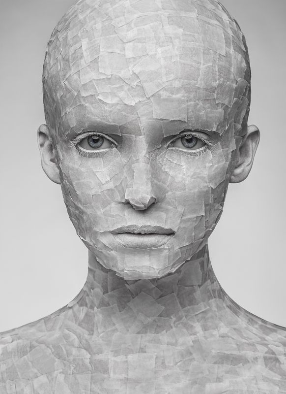 torn piecesphoto preview