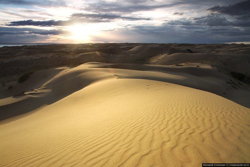 Монголия, путешествия, пустыня Пески Монгол-эллс. Монголия фото превью