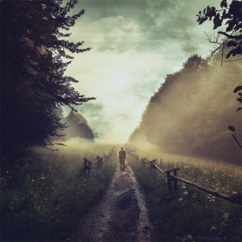 Location:Silence (Part.X.)photo preview