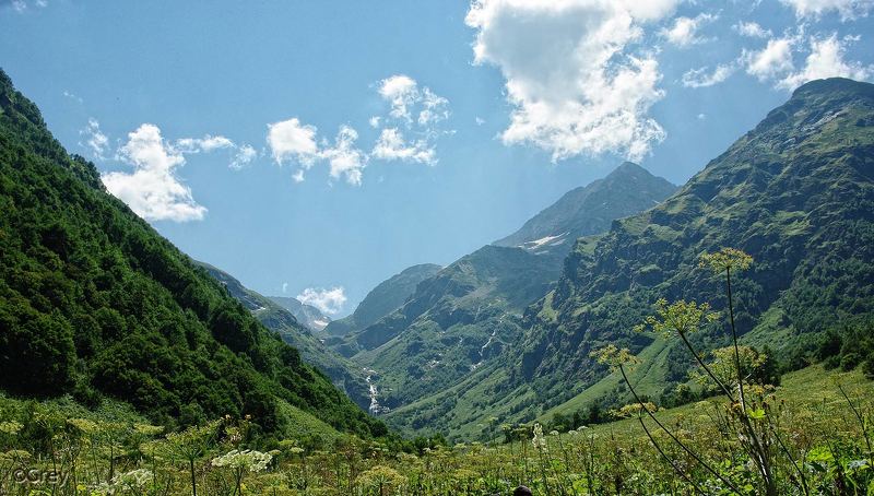 Прогулки за городом;)photo preview