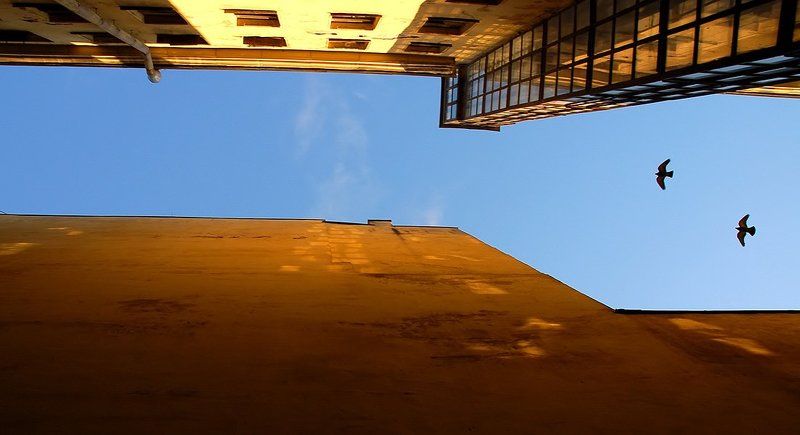 Полетphoto preview