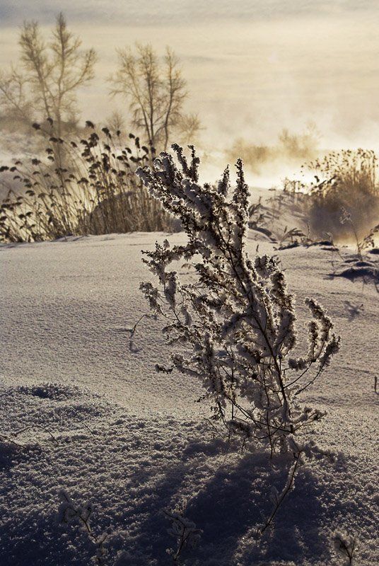 природа, зауралье ***photo preview