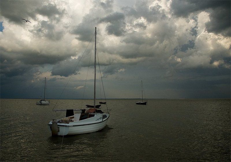 желтоеphoto preview