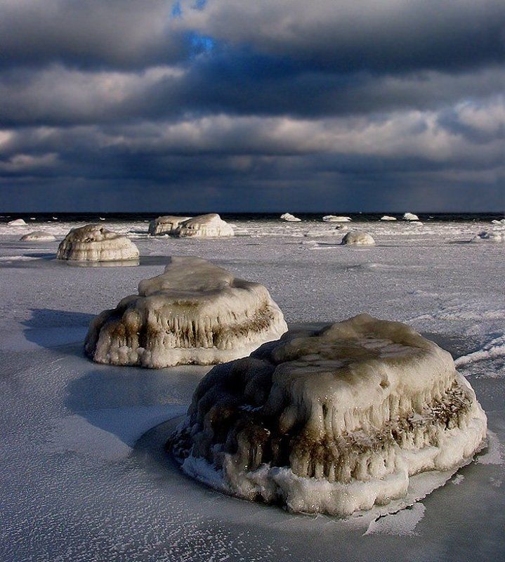 ватрушкиphoto preview