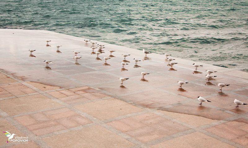 Готовимся ко взлёту ....photo preview