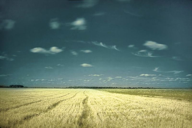 Просторыphoto preview