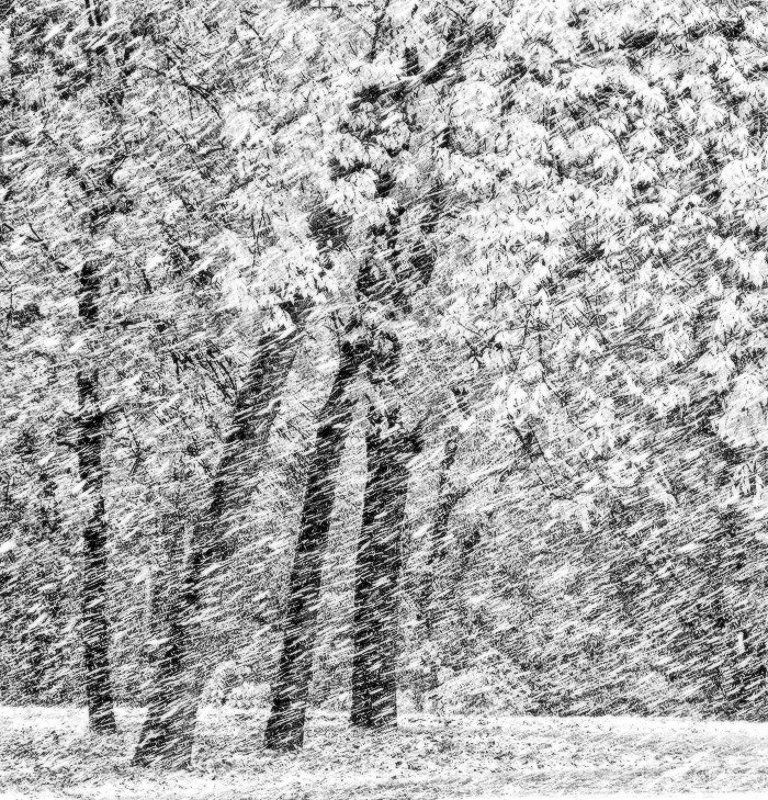 Заметаетphoto preview