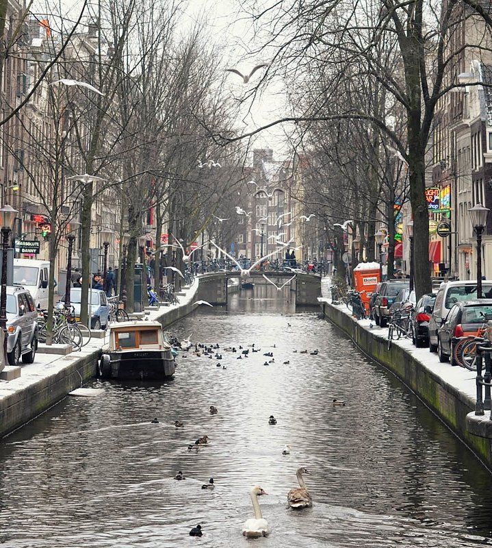 амстердам Амстерphoto preview