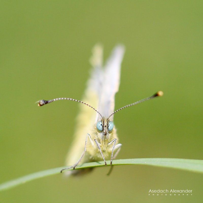 Hello!!!photo preview