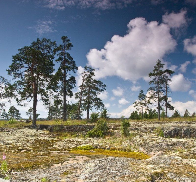 Валаамский пейзажphoto preview