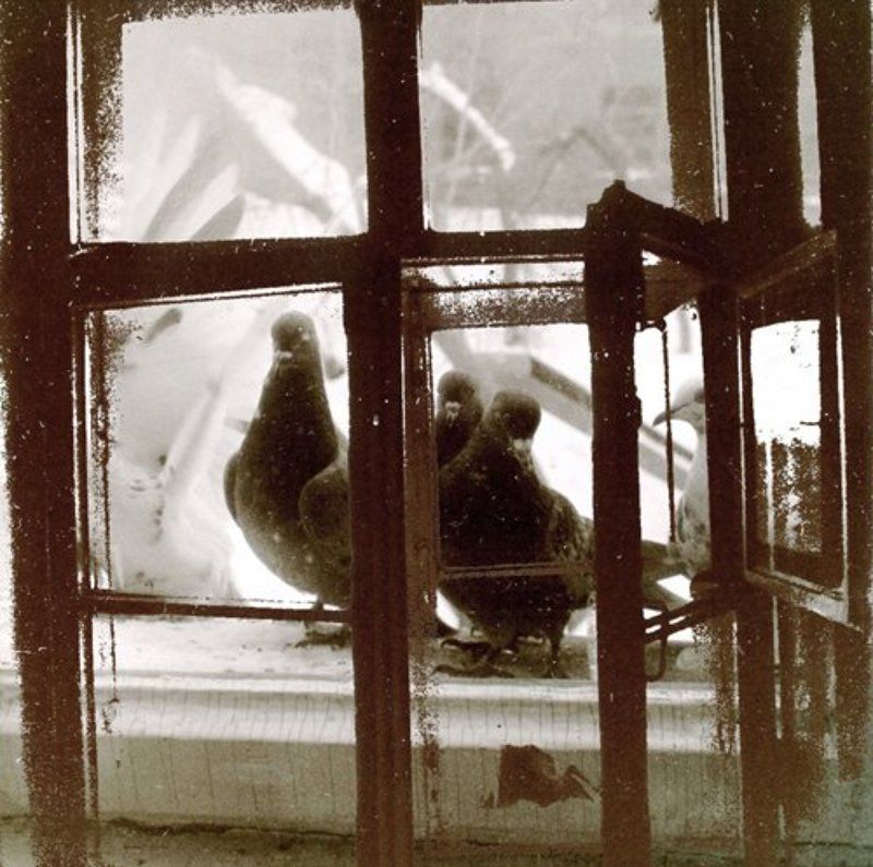 дайте хлеба.. фото превью