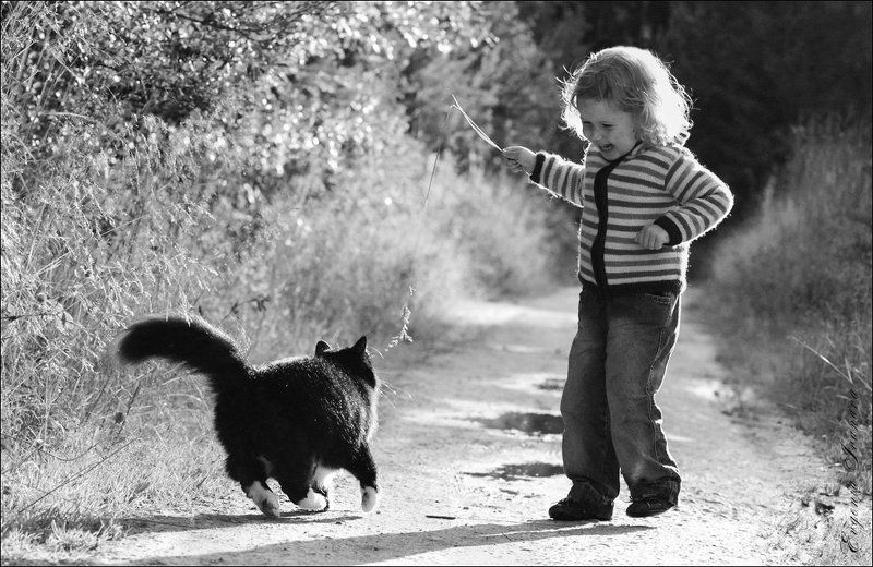 Кошки-мышки фото превью