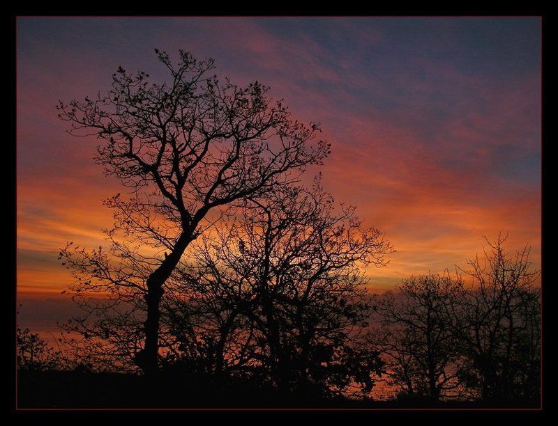 утро, зарево ***photo preview