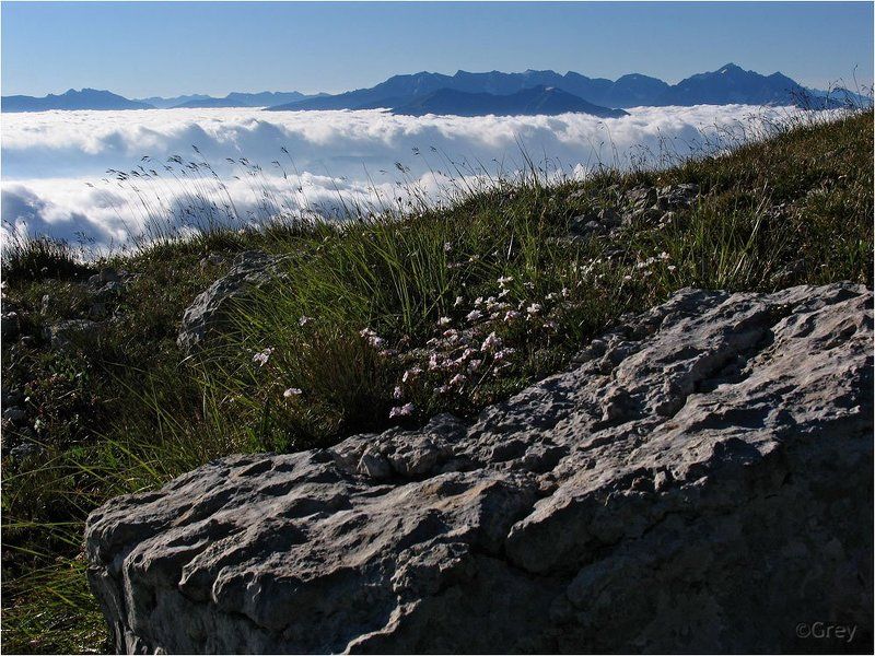 Берег облачного моряphoto preview