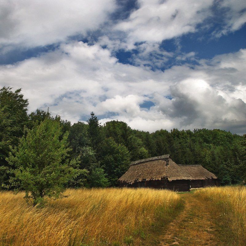 лето в квадрате  ;0)photo preview