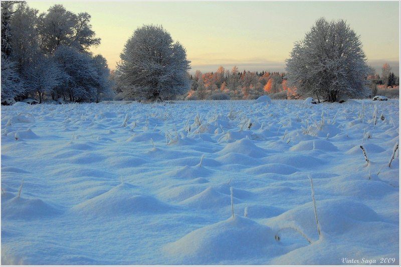 Пушистые холмикиphoto preview