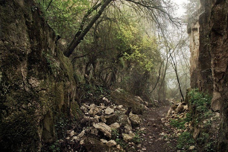 крым, чуфут кале Дорогой древнего городаphoto preview
