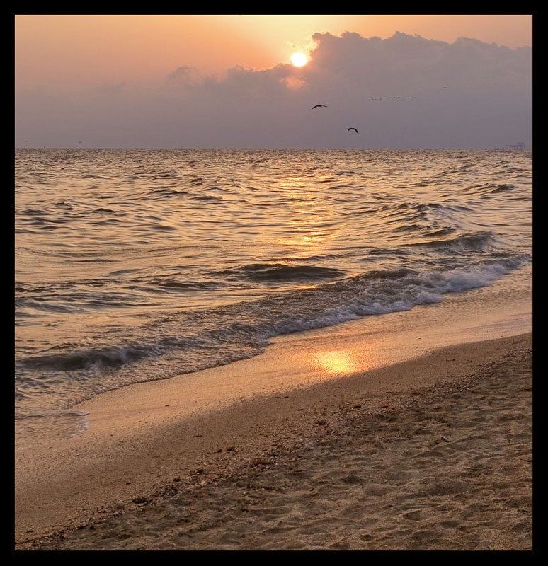 азовское, море Розово-золотистое воспоминание...photo preview