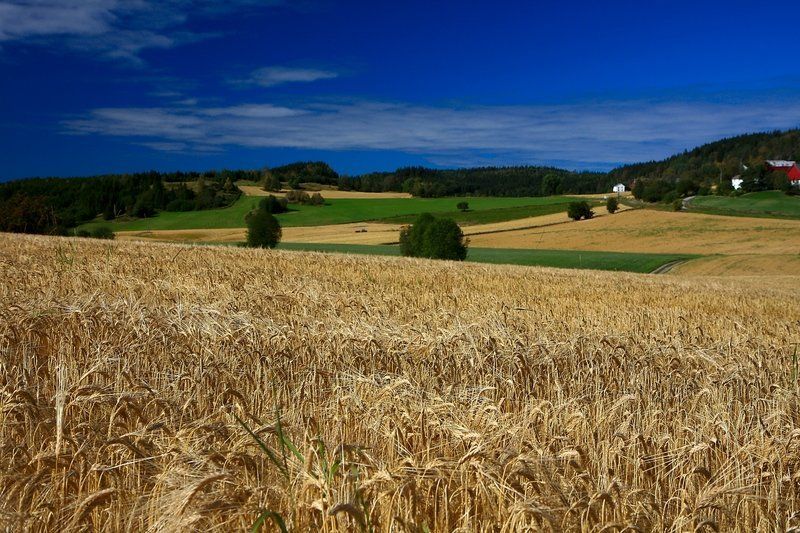 норвегия Хоть похоже на Россию, но это Норвегияphoto preview