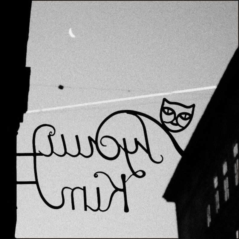 __рудий кіт__photo preview