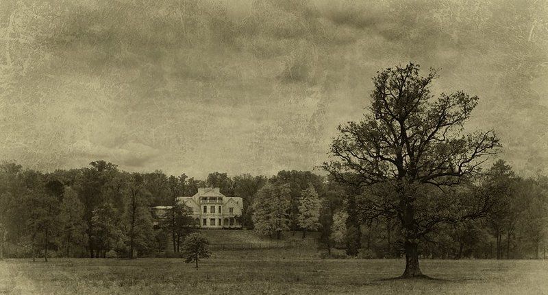 Фантазия фа минор К.608 фото превью