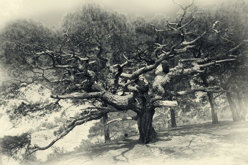 крым ***photo preview