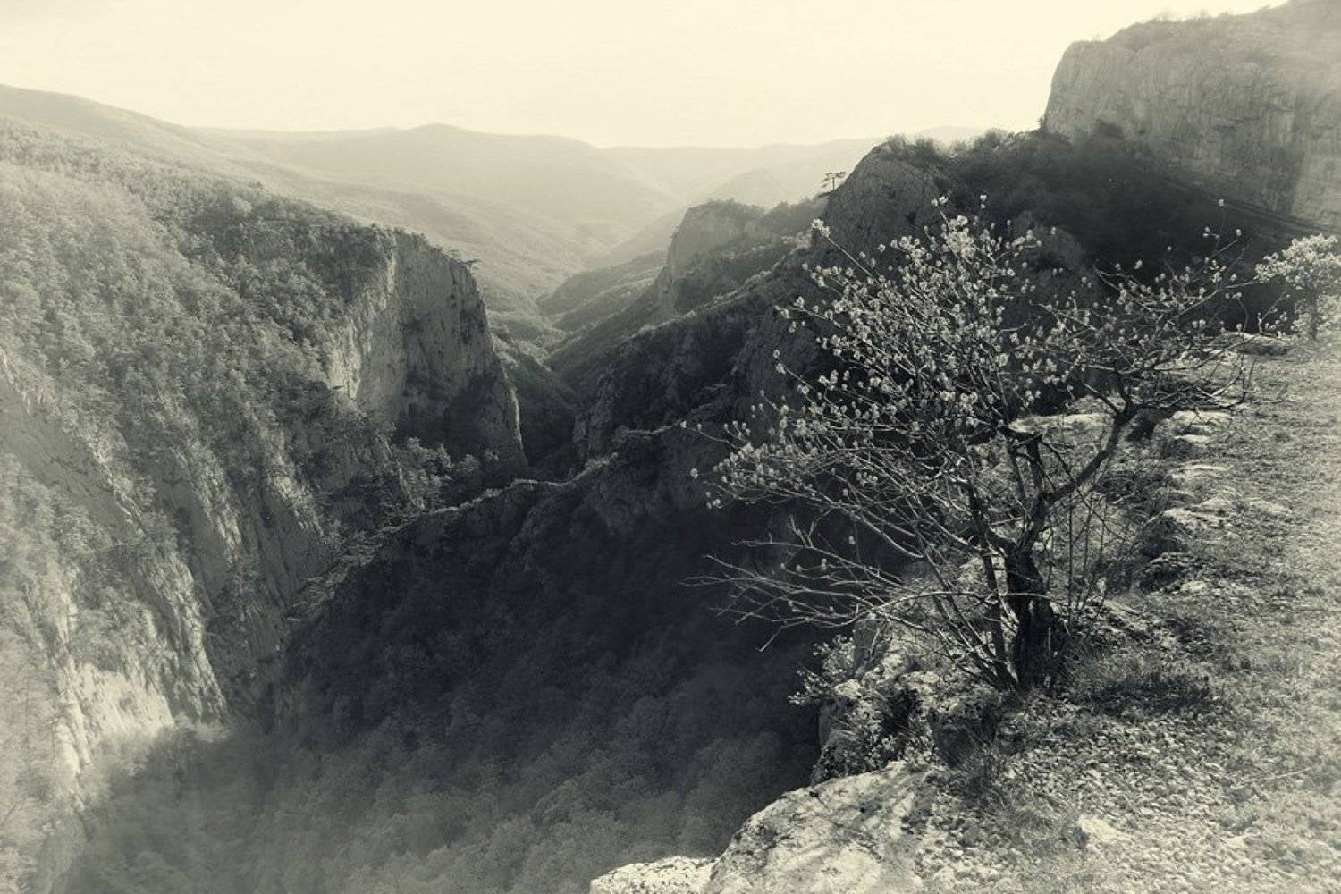 ***. Автор: Dmitriy Egorov крым, Dmitriy Egorov