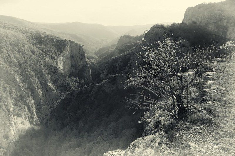 крым ***photo preview