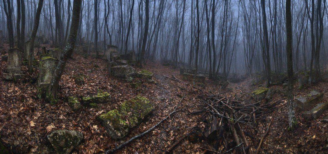 , Михаил Мочалов