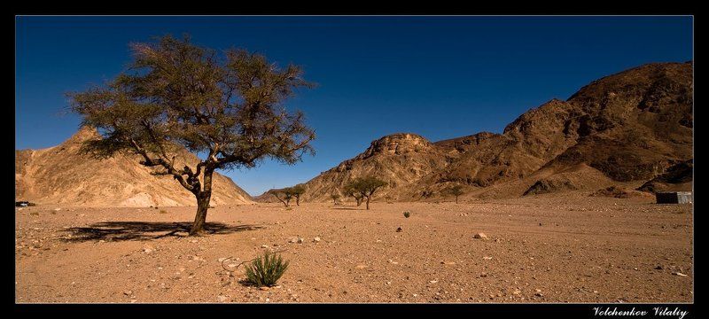 foto ***photo preview