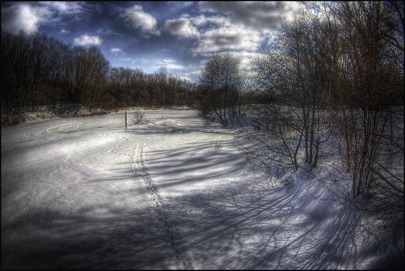 Весенний пейзажphoto preview