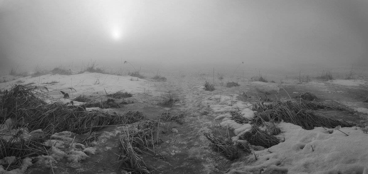 на встречу солнцу, утро.... Автор: Михаил Мочалов , Михаил Мочалов