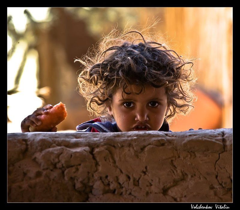 фото зайчикphoto preview