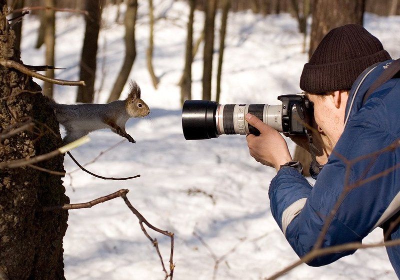 это что,дупло???photo preview