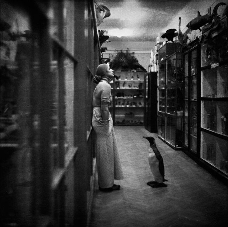 6х6 тихая беседаphoto preview