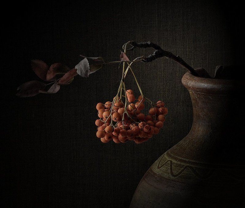 рябина, осень, фрагмент рябинаphoto preview