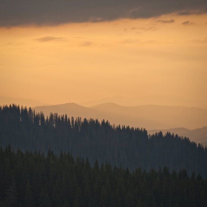 7 слоёв счастьяphoto preview